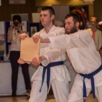 Martial Arts Demo